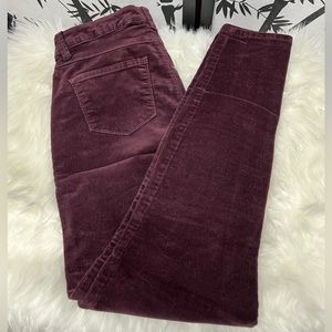 🐝 Poured In Blue Corduroy Pants